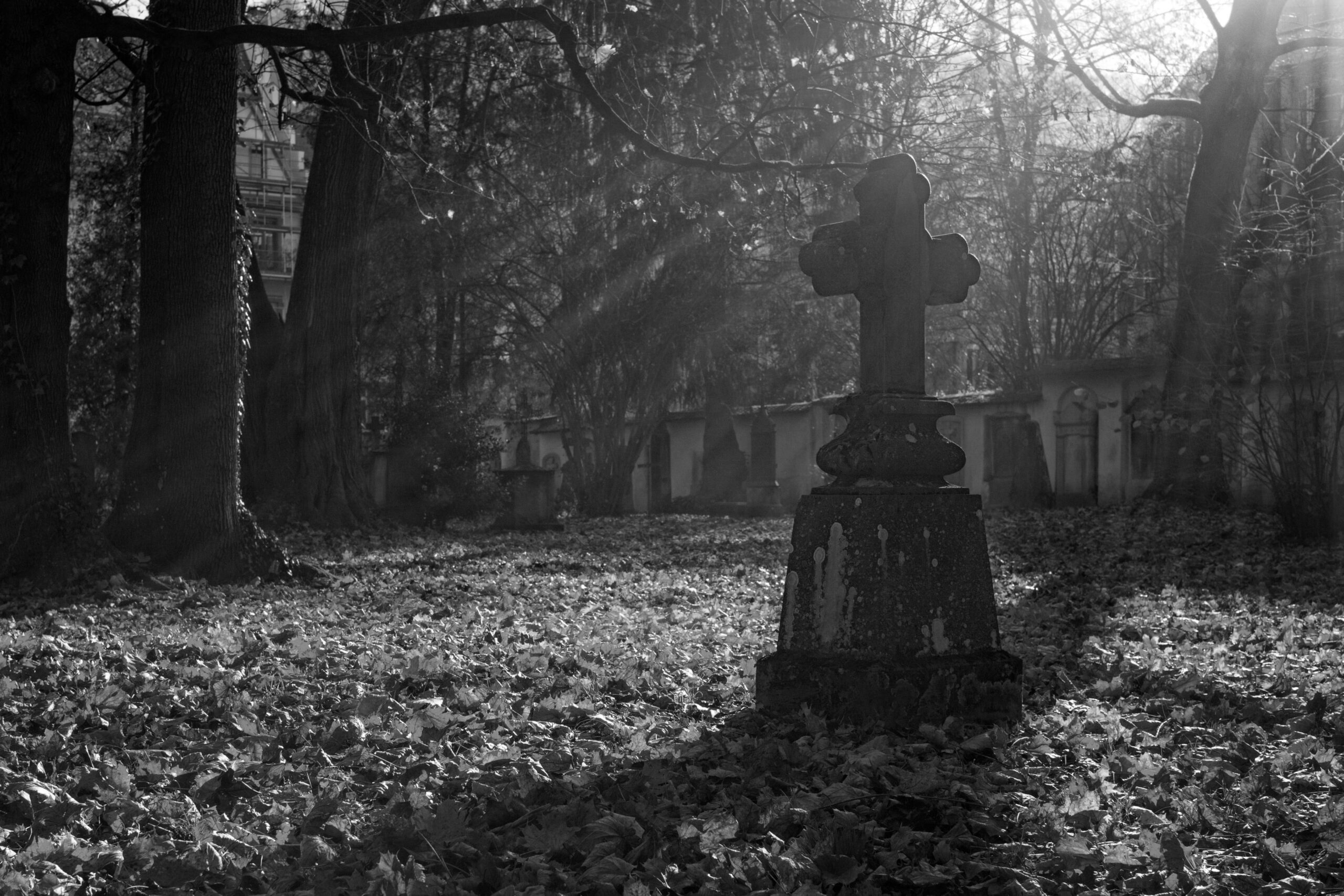 Taverny Demain Sépulture